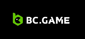 Explore the Innovative Features of the BC.Game App