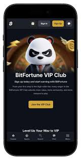 Ultimate Guide to Bitfortune Casino Cashier Section