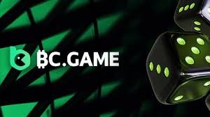 Discover the Excitement of BC.Game in Pakistan 704934426