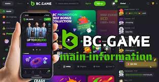 Exploring the Features of BC.Game RO Online Platform