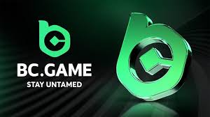 BC.Game Mirror Registration Process A Step-by-Step Guide -670385323