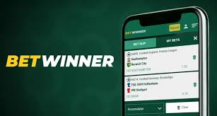 Comprehensive Review of BetWinner Casino and Sportsbook -815785401 Comprehensive Review of BetWinner Casino and Sportsbook -815785401